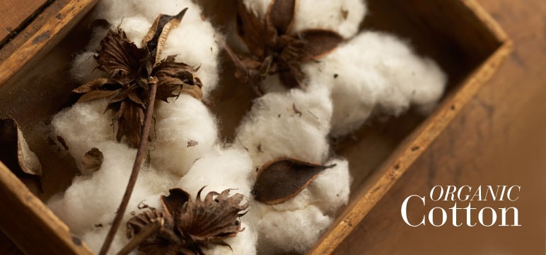 Organic Cotton