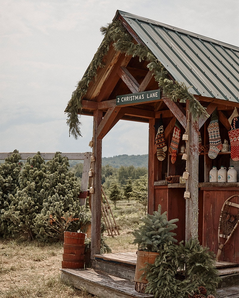 On Location at The Rocs Hill