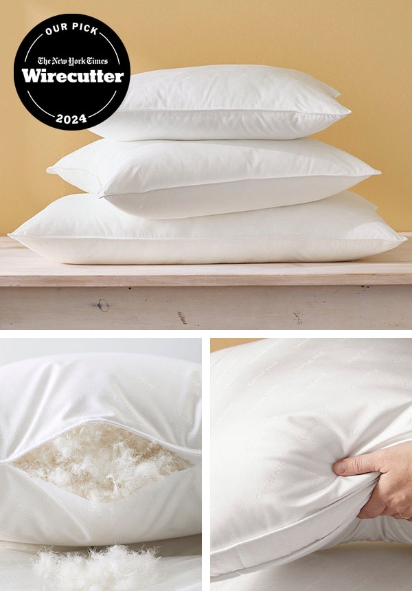 Qvc down sales pillows